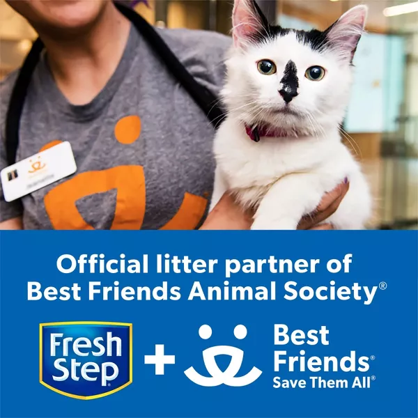 Fresh Step Simply Unscented Clumping Cat Litter - 38lbs - Image 10